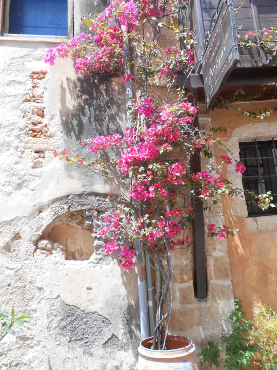 Hauseingang Corissia Beach Hotel