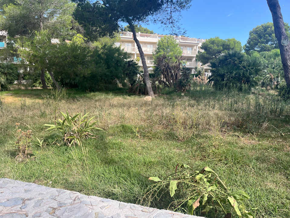 Gartenanlage VIVA Cala Mesquida Suites & Spa 16+