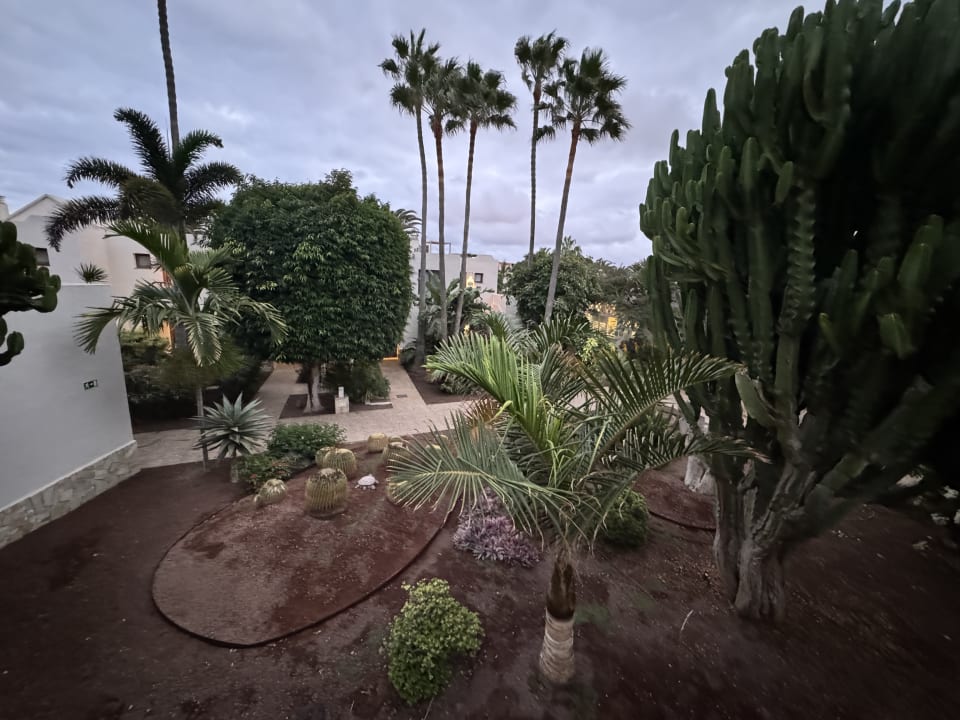 Ausblick Alua Suites Fuerteventura
