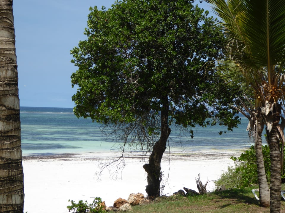 Ausblick Baobab Beach Resort & Spa