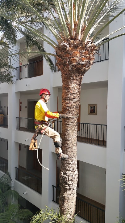 Sonstiges Hotel Riu Palace Maspalomas Adults Only