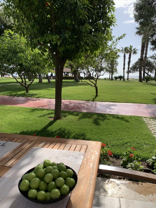 Gartenanlage TUI MAGIC LIFE Beldibi +16