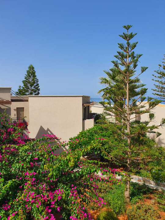 Gartenanlage Nana Golden Beach