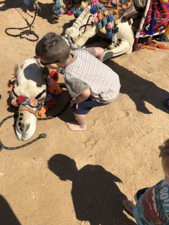 Strand Le Jardin Aqua Park Resort