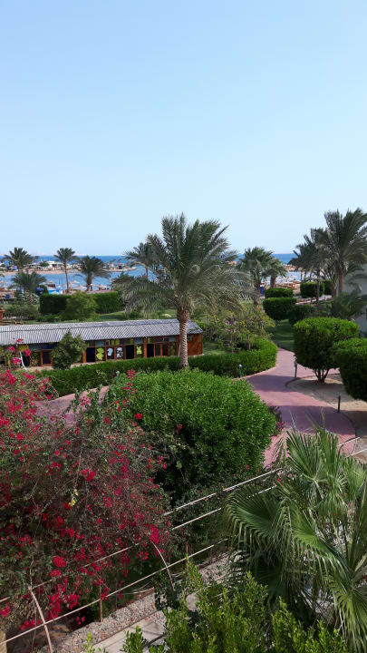 Ausblick Desert Rose