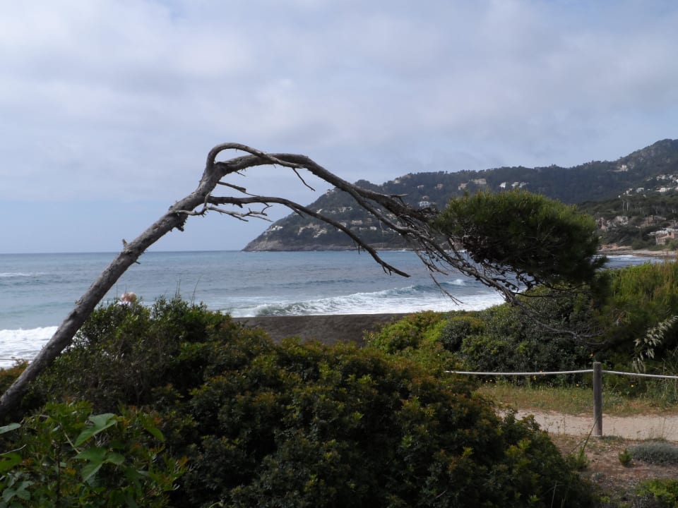 Der  Weg  vom Strand Melbeach Hotel & Spa - Adults only