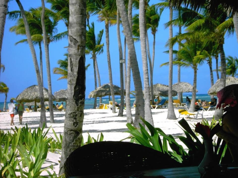 Blick vom Strandretaurant Catalonia Punta Cana - All Inclusive