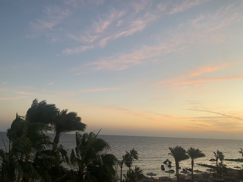 Ausblick Pickalbatros Citadel Resort