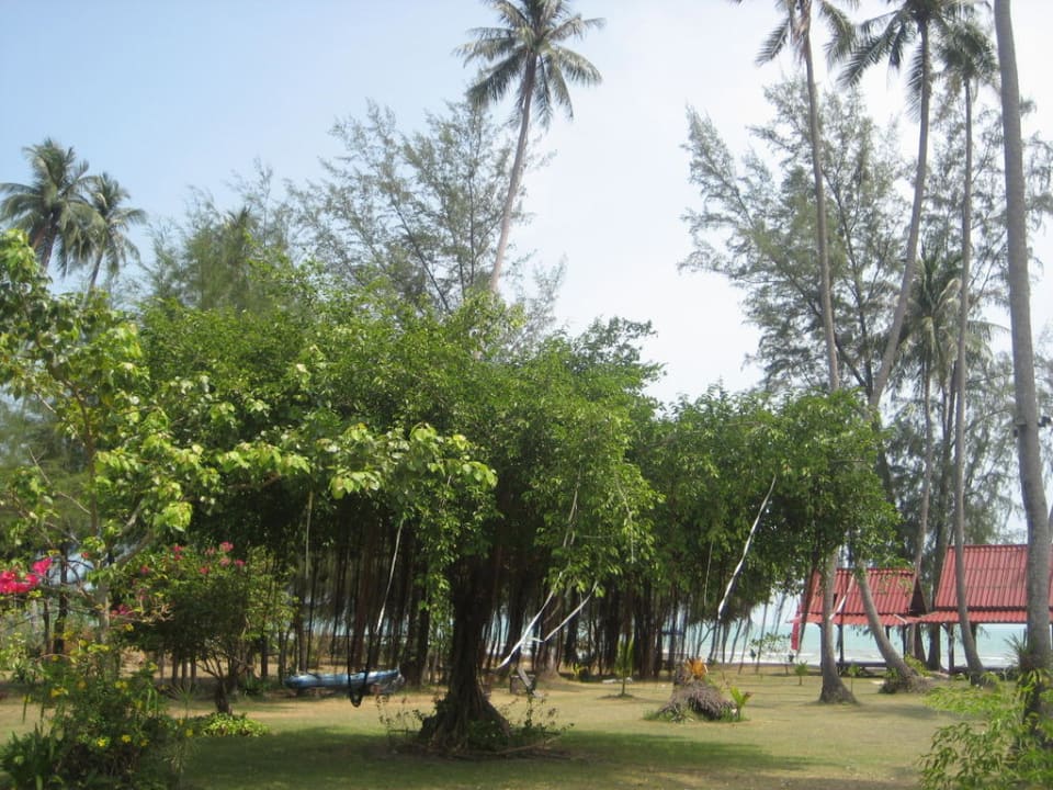 Gartenanlage Viva Vacation Resort