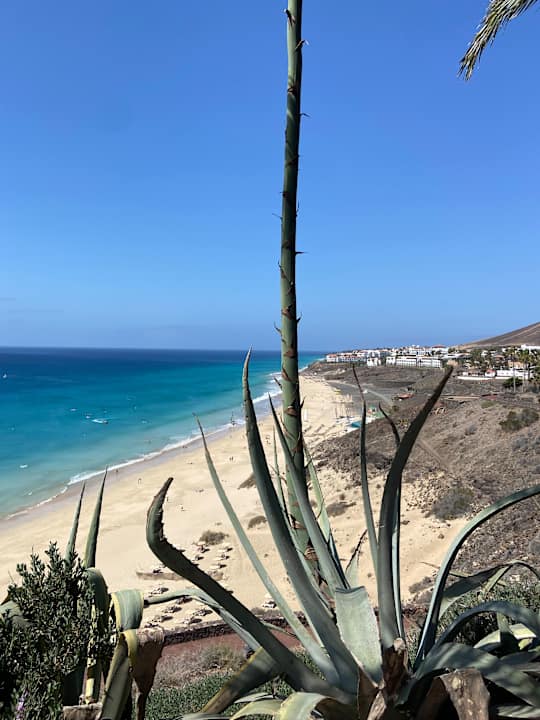 Ausblick ROBINSON ESQUINZO PLAYA