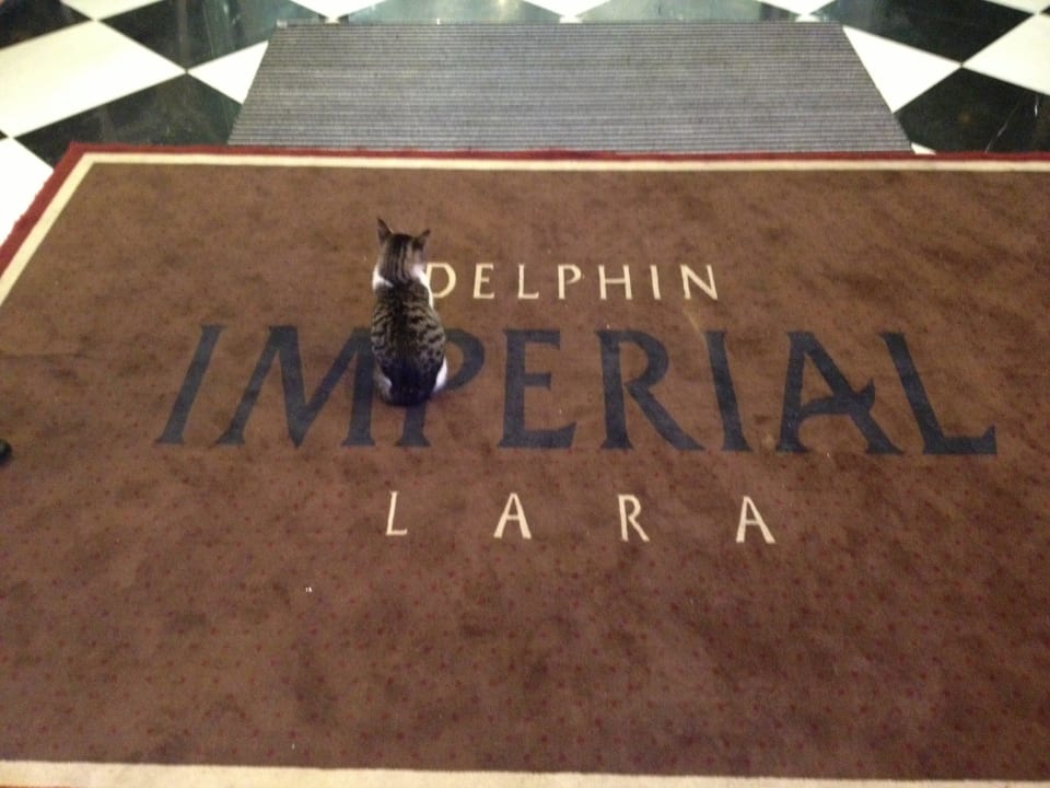 Eingang Hotel Delphin Imperial