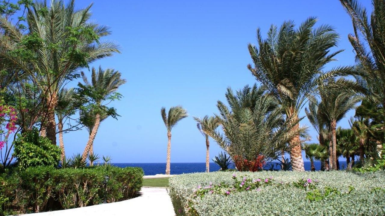 Lovely garden Steigenberger Coraya Beach - Adults only