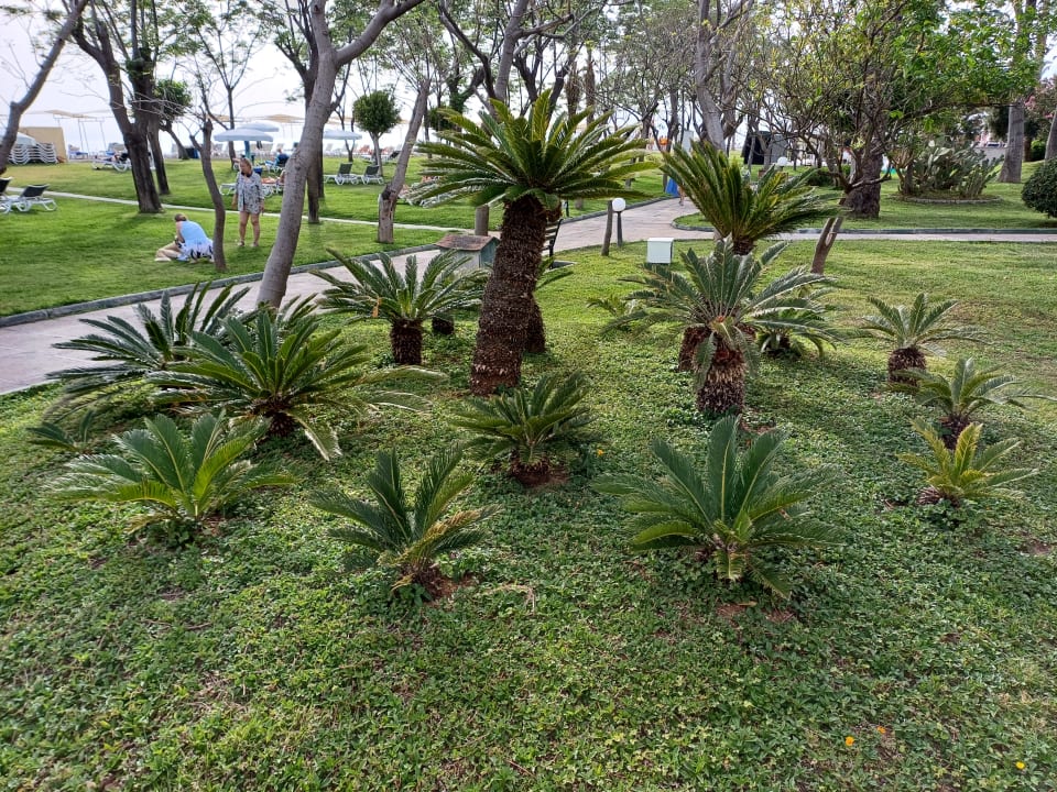 Außenansicht Labranda Alantur Resort