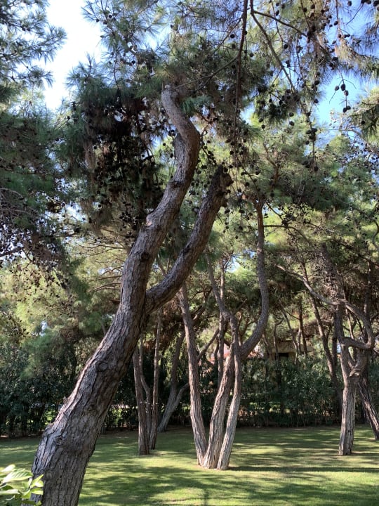 Garten Xanadu Resort Hotel