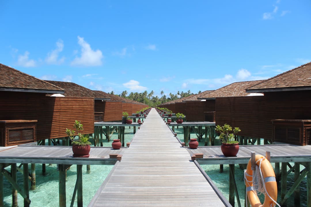 Östliche JWV Meeru Maldives Resort Island