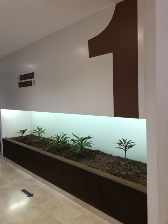 Lobby alltoura Club Hotel Akeah Broncemar