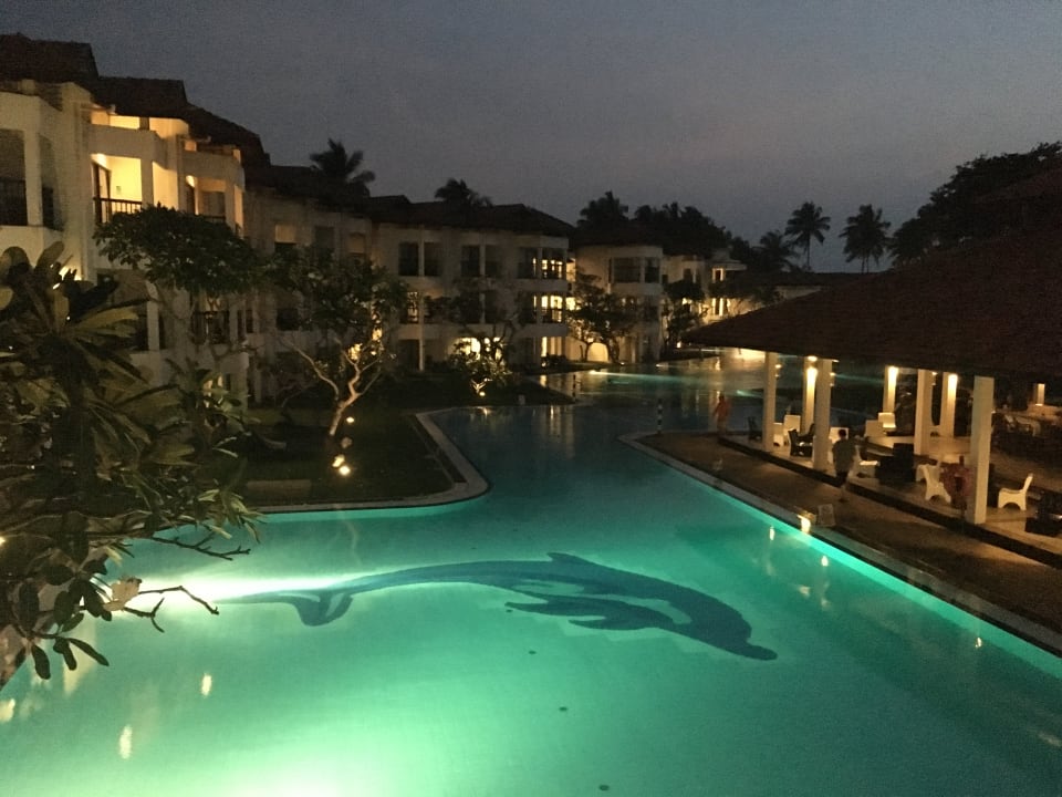 Pool Club Hotel Dolphin