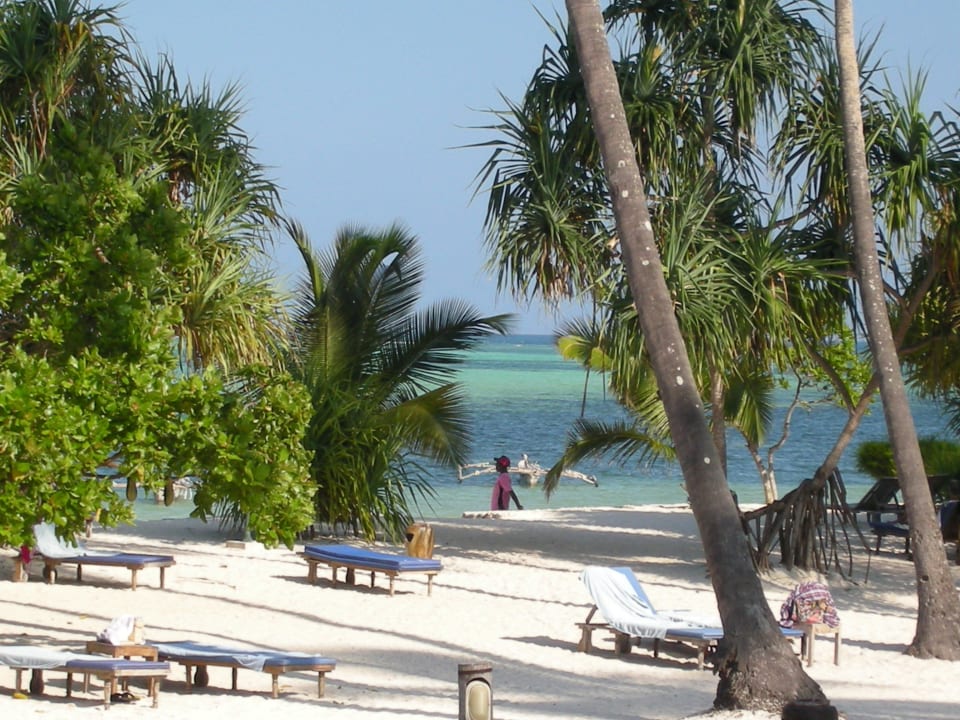 Blick von der Liege Neptune Pwani Beach Resort & Spa