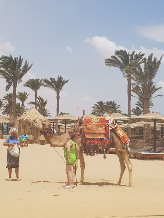 Strand Golden Beach Resort