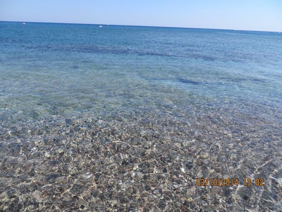 Glasklares Wasser Pegasos Deluxe Beach Hotel
