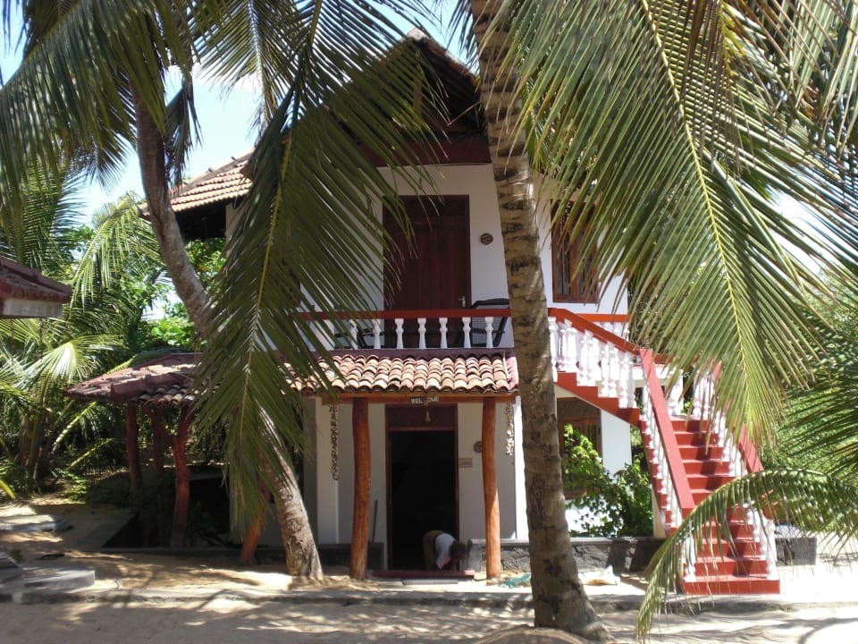 Ibis Familienbungalow  Ibis Guesthouse