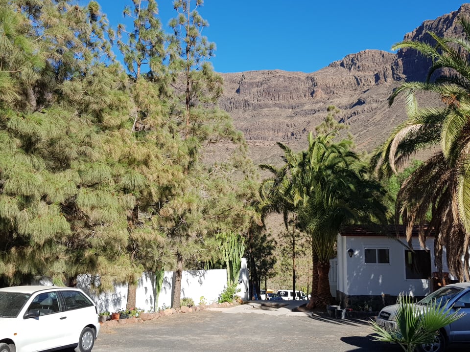 Ausblick Bio Finca - Las Tenerías