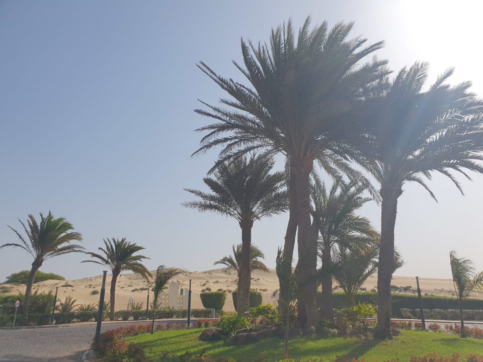 Gartenanlage Hotel Riu Karamboa