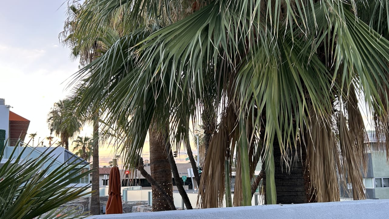 Ausblick The Twist Palm Springs