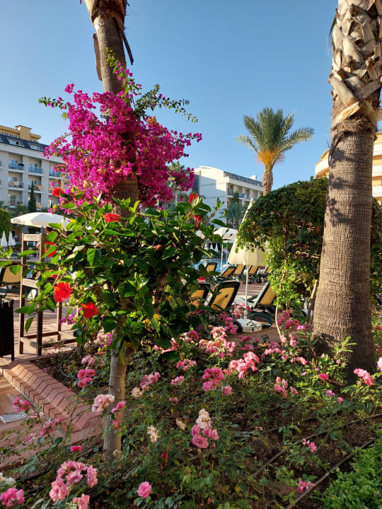 Gartenanlage My Home Resort