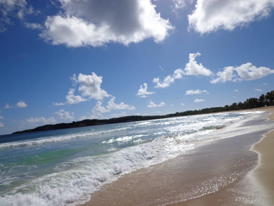 Hotel Grand Palladium Punta Cana Resort & Spa Grand Palladium Punta Cana Resort & Spa