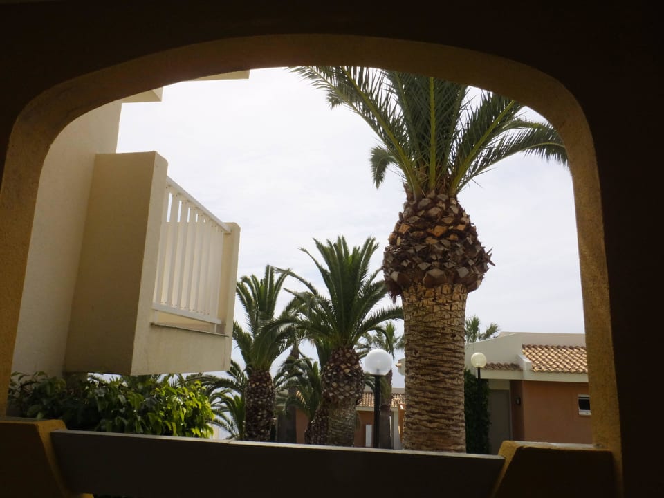 Palmen im Bogen blau punta reina