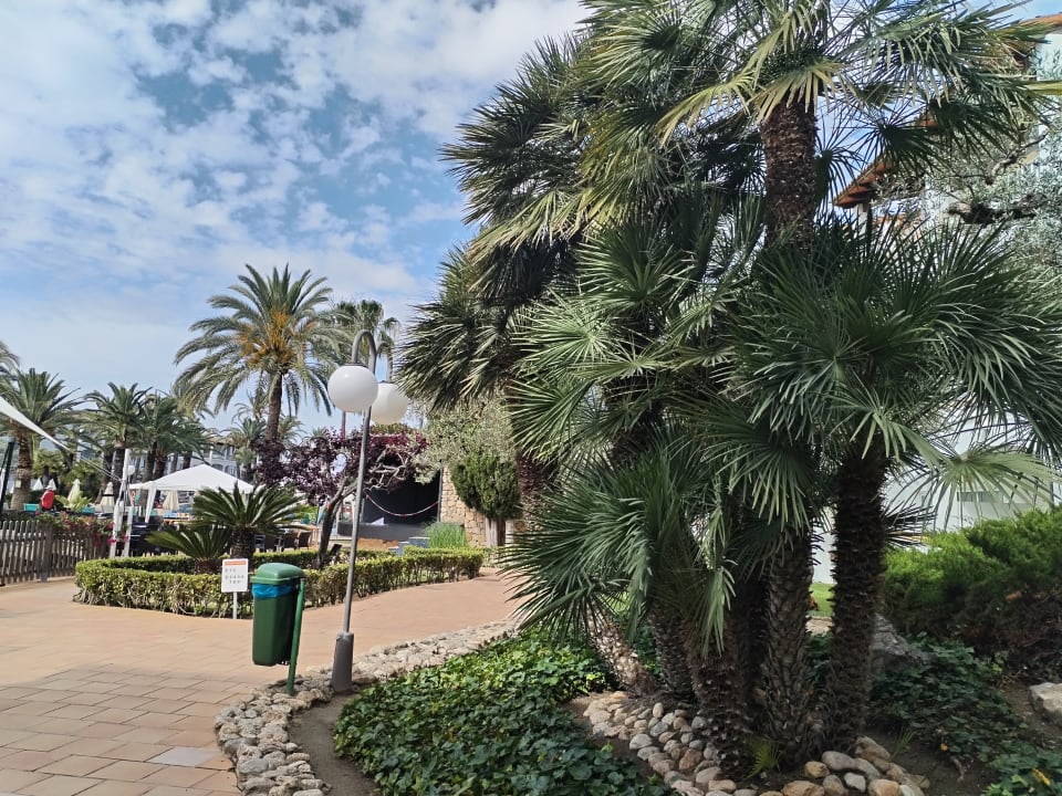 Gartenanlage Alcudia Garden Aparthotel