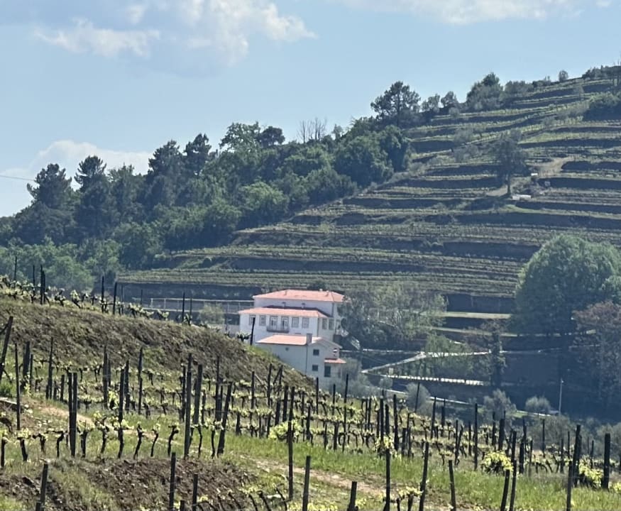 Ausblick Quinta de Travassinhos