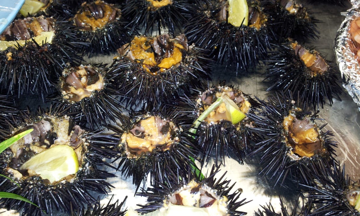 BEMA Foto Hotel Framissima Palm Beach