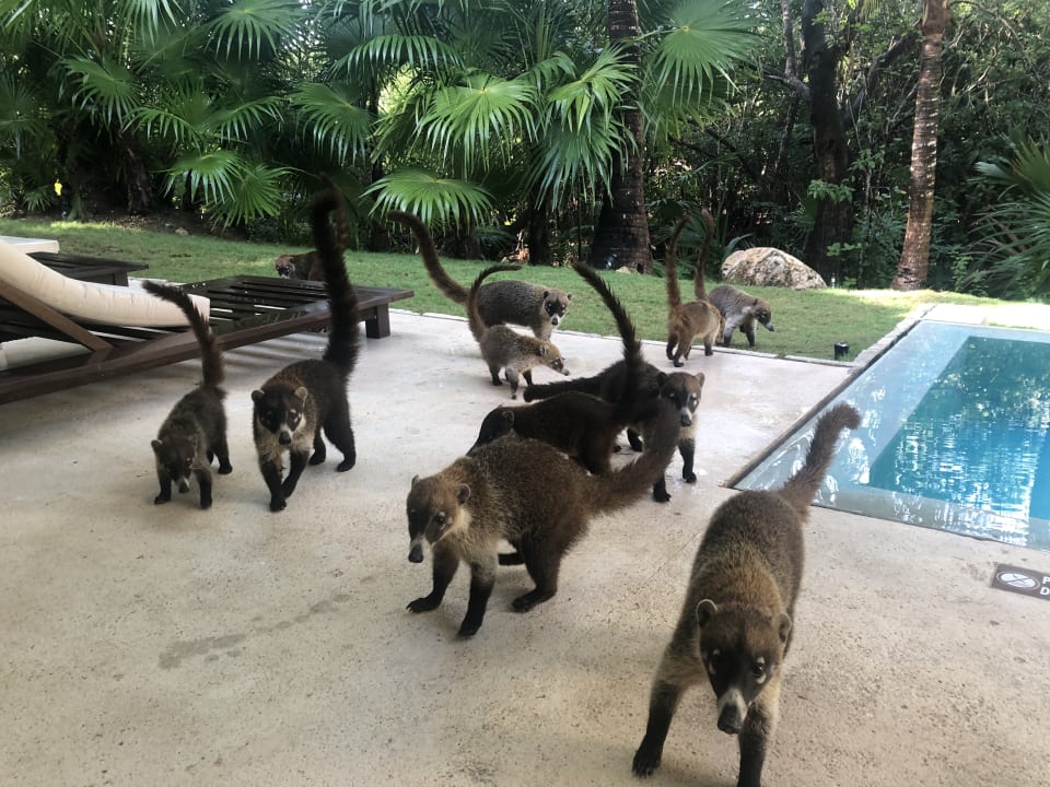 Sonstiges Blue Diamond Luxury Boutique Hotel