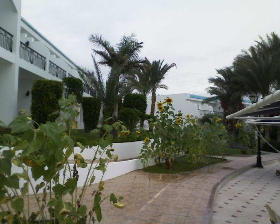 Esterno hall Sultan Gardens Resort