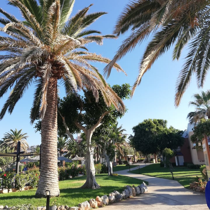 Gartenanlage Anissa Beach & Village