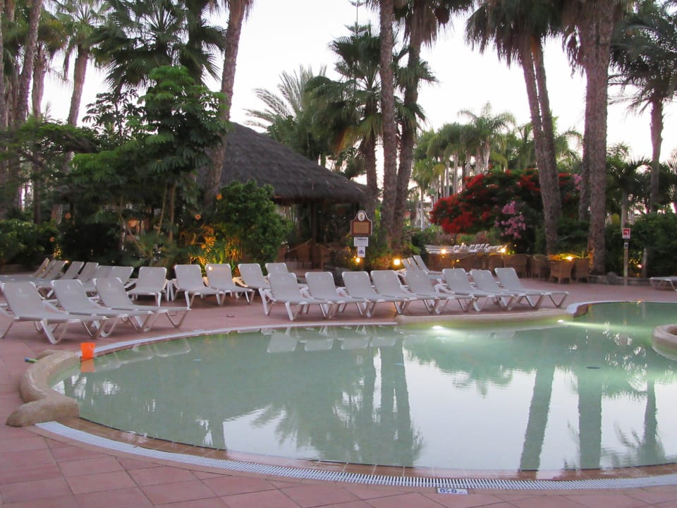 Pool Tabaiba Princess