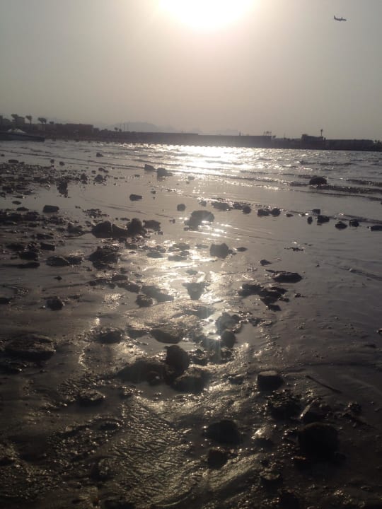 Meer Pickalbatros Alf Leila Wa Leila Resort - Neverland Hurghada