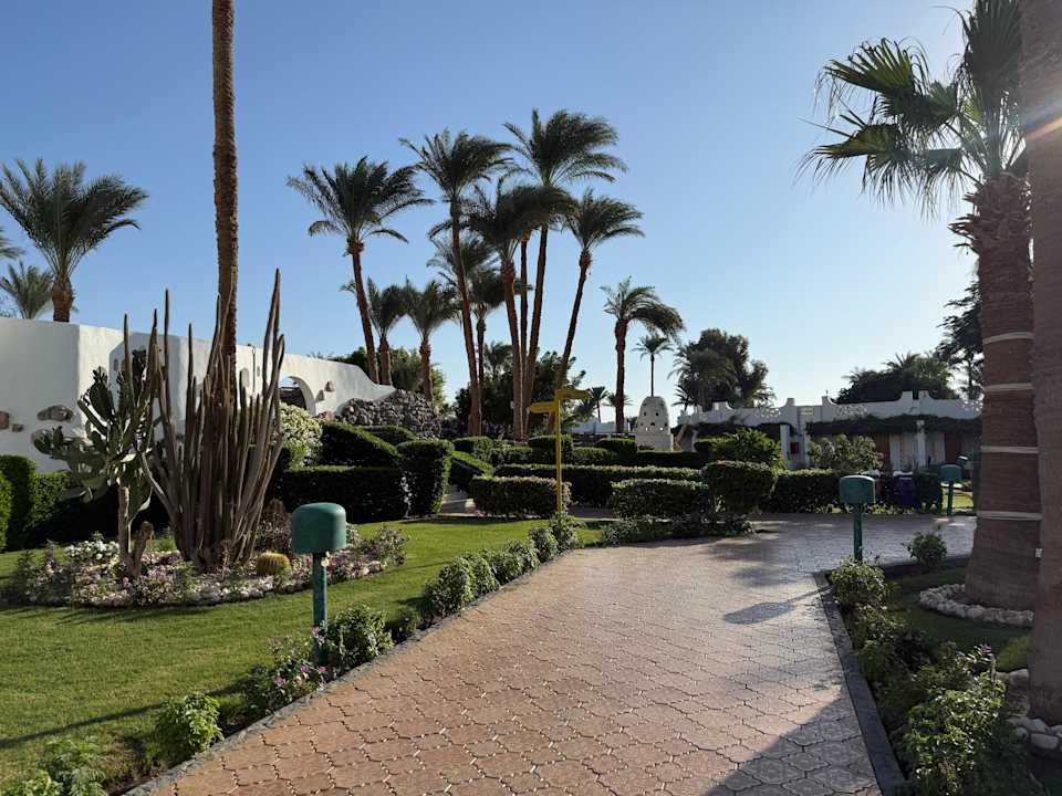 Gartenanlage Shams Safaga Resort