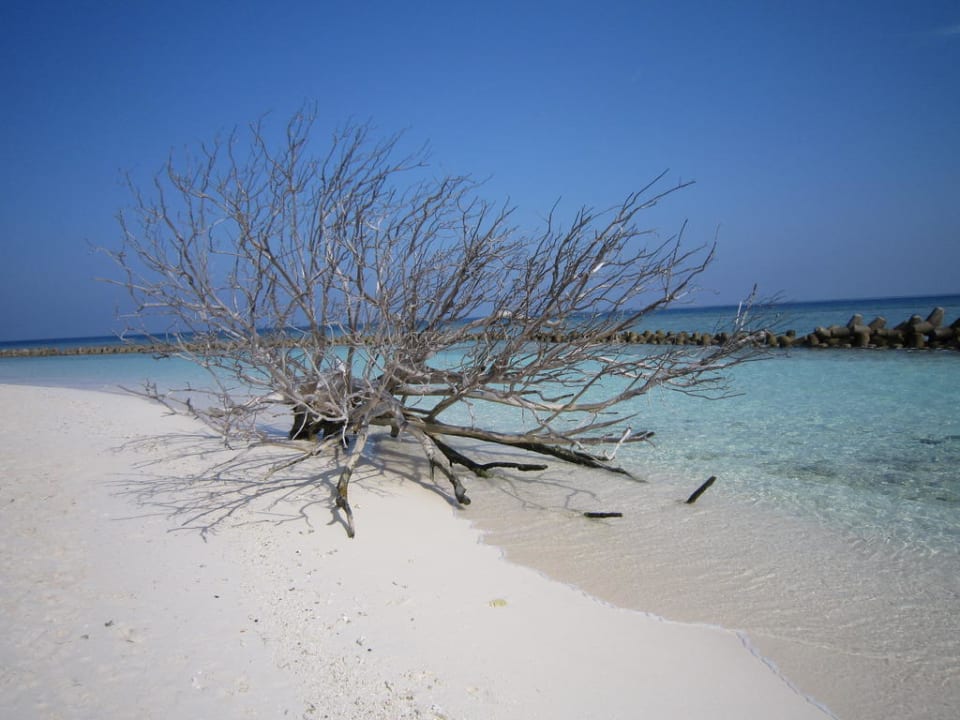 Nord-Ostseite Kuredu Island Resort & Spa