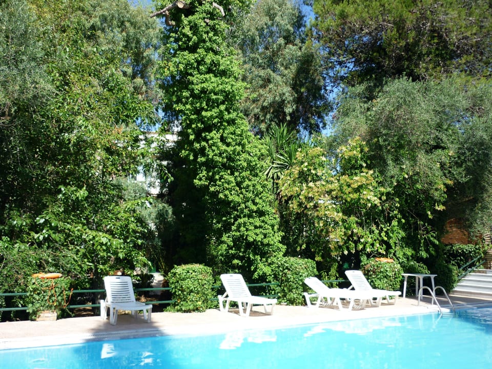 Basen Hotel Galaxias