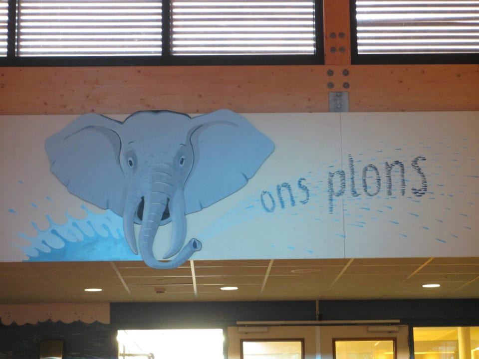 Schwimmbad - Eingang Ferienpark Landal De Lommerbergen