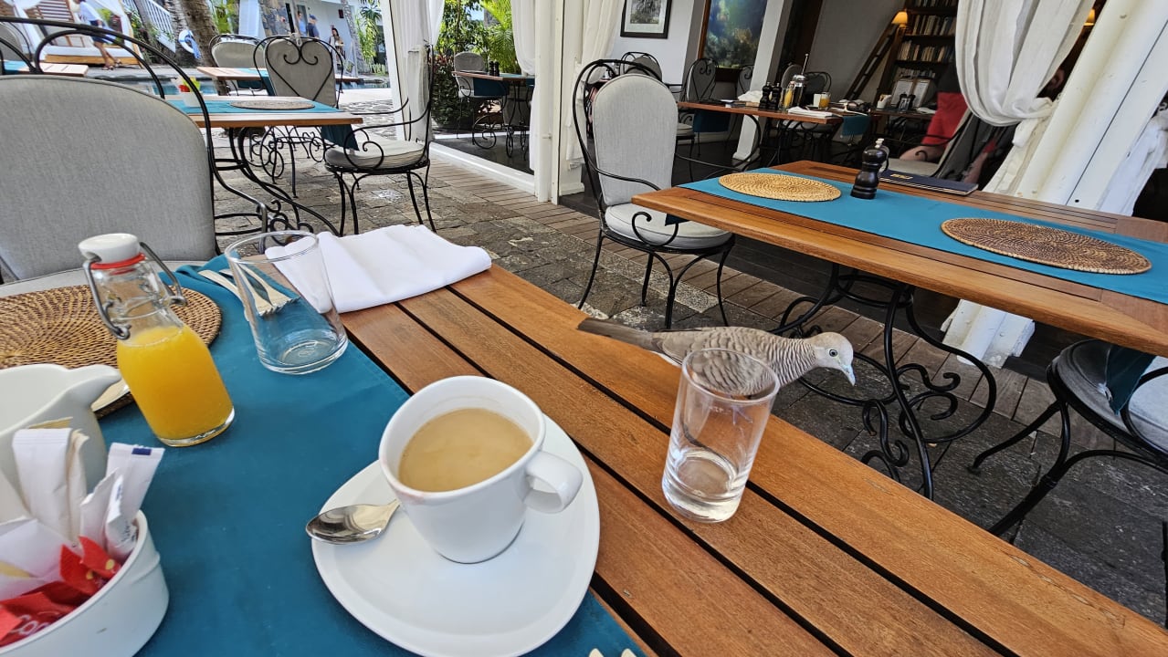 Gastro La Maison 20 Degrés Sud - Relais & Châteaux