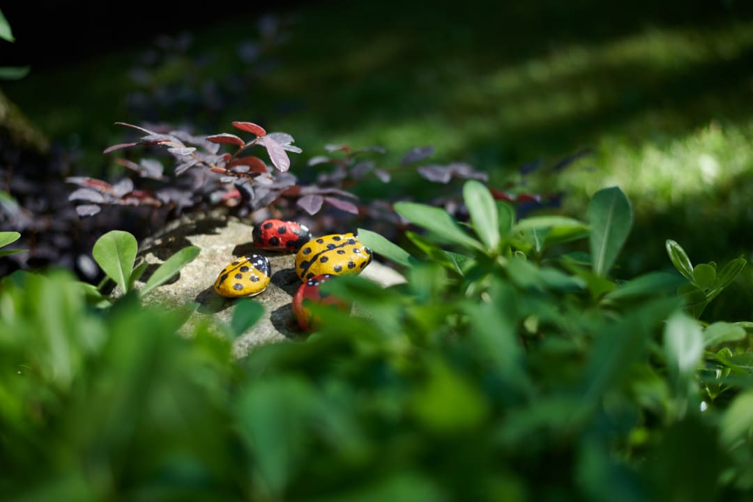 Gartenanlage Hotel Mariu Residence