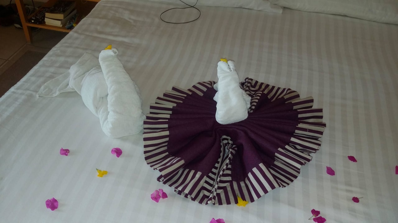 Zimmerservice Hotel JAZ Makadi Star & Spa