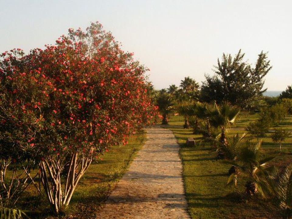 Weg zum Strand Club Grand Side