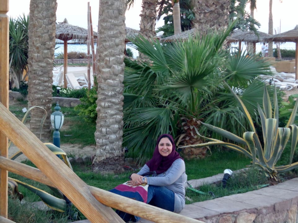 Island Marriott Hurghada Beach Resort