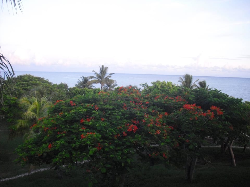 Blick vom Balkon Sol Rio De Luna y Mares
