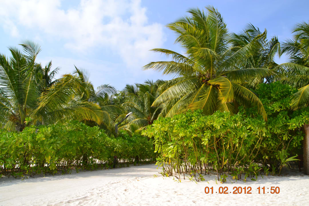 Plaża Kuredu Island Resort & Spa